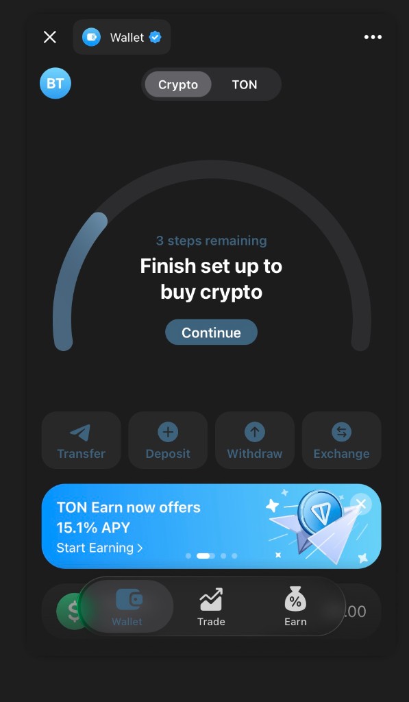 Telegram Wallet screen showing setup steps and the “Withdraw” section